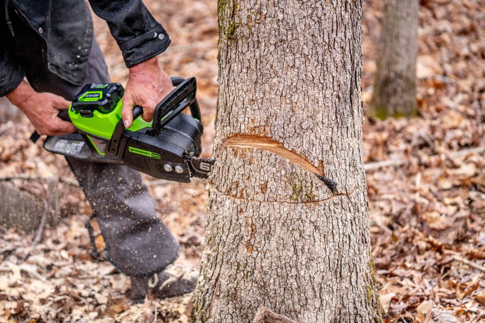 Цепная пила аккумуляторная Greenworks GD60CS25k4 Арт. 2008907UB, 60V, 40 см, бесщеточная, 2500 Вт, с 1хАКБ 4 Ач. и ЗУ