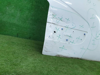 Дверь передняя правая Renault Master 3 (2010-н.в.)