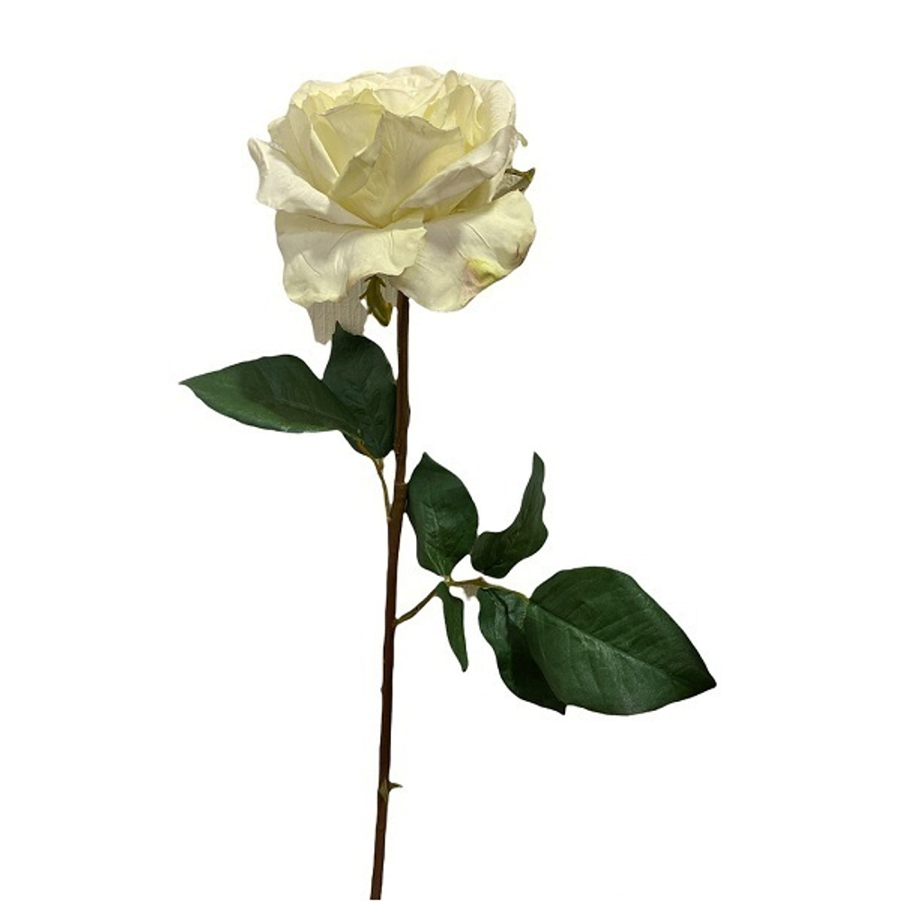 Роза шампань [Арт. TSF00410]