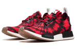 Кроссовки Nice Kicks X Adidas Originals Nmd_R1 Primeknit
