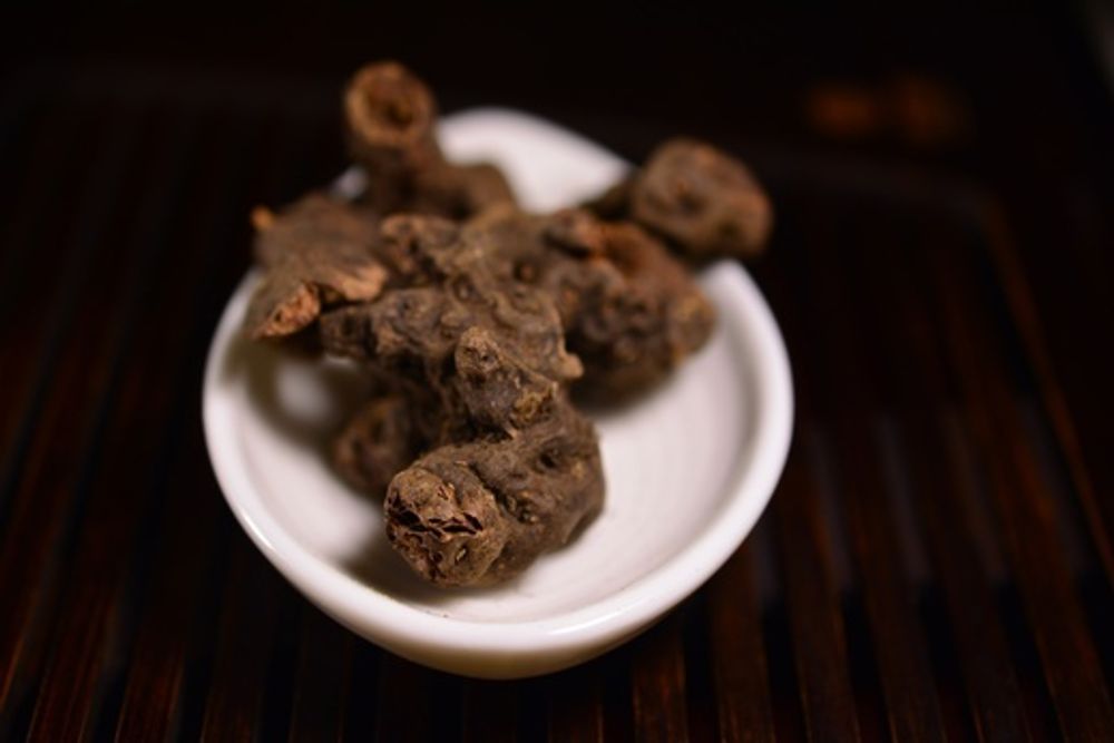 Корень Калгана