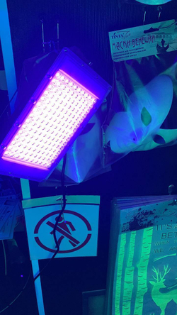 Прожектор УФ / ультрафиолетовый / Luminofor UV 50Вт светодиодный для клубов и баров с вилкой EU/ для караоке / для квеста / для праздника / для вечеринки / для шоу