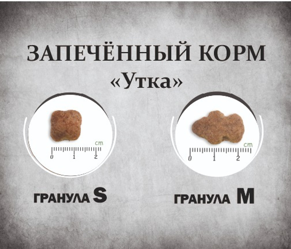 Гранулы