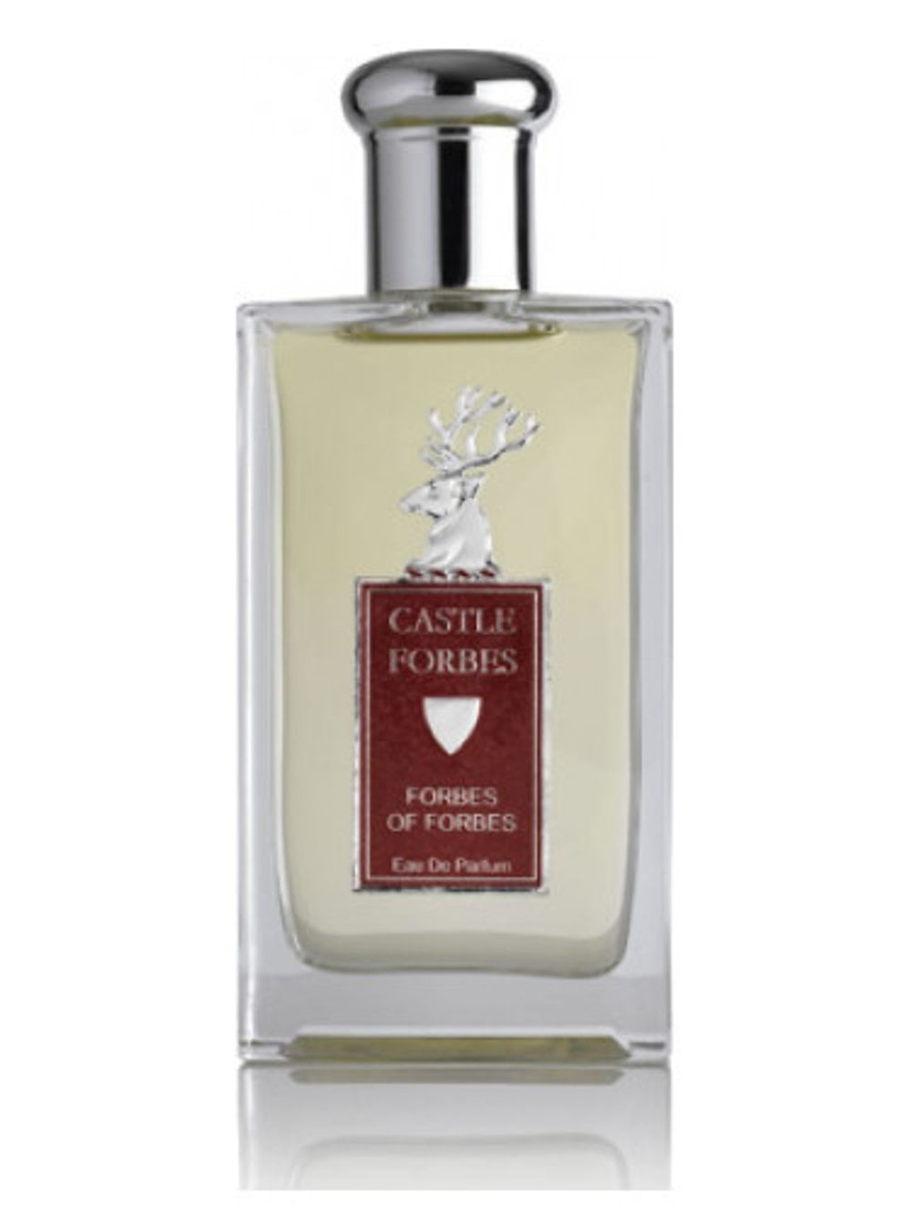 Castle Forbes Forbes of Forbes