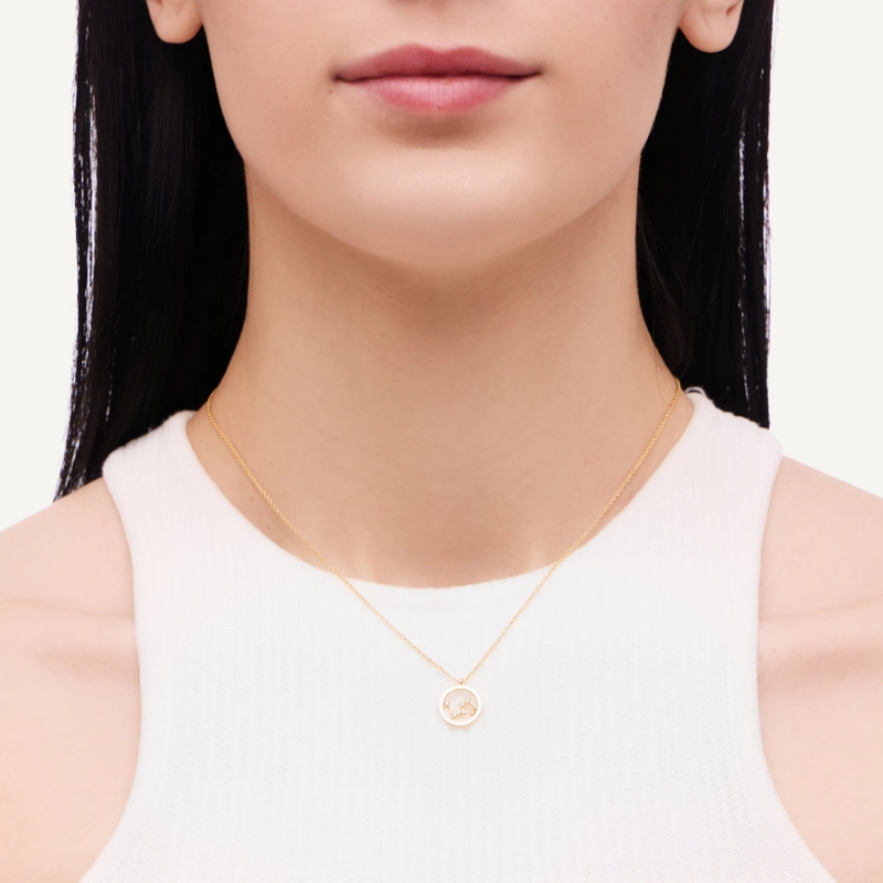 Колье Золотой Знак Зодиака