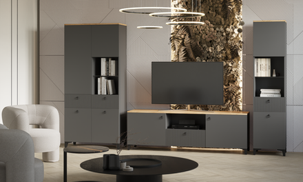 Гостиная Ника ЛДСП дуб делано/графит / МДФ эйхория OR-17