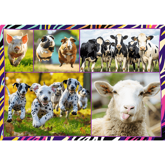 Pazl \ Puzzle \ Пазлы Puzzles - "4x250" - Funny animals / Trefl