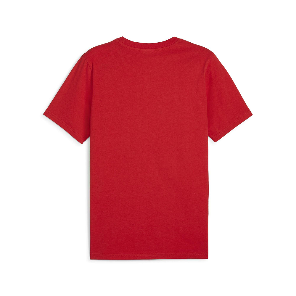 Мужская футболка PUMA The Hooper Tee 1
