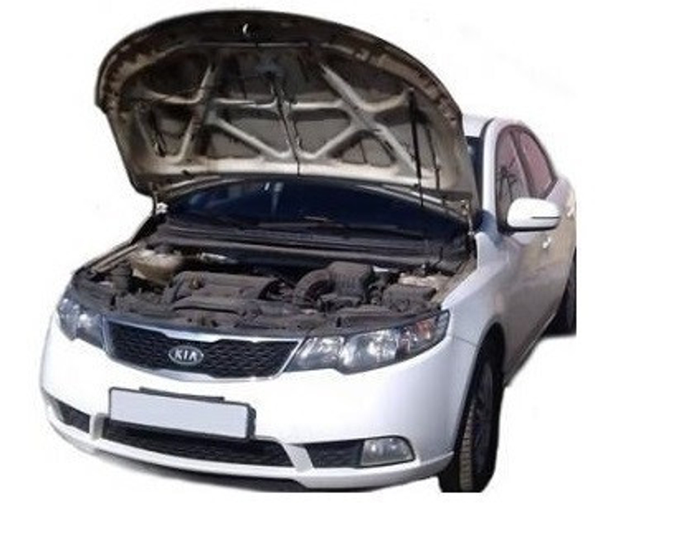 Амортизатор (упор) капота на Kia Cerato 10-04/1(с 2009 по 2013 г.в.)Autoinnovation