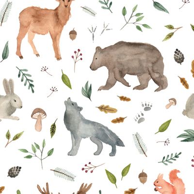 Лесные звери на белом фоне