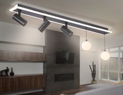 Ambrella Потолочный светодиодный светильник со сменной лампой и пультом управления LineTech FL66202