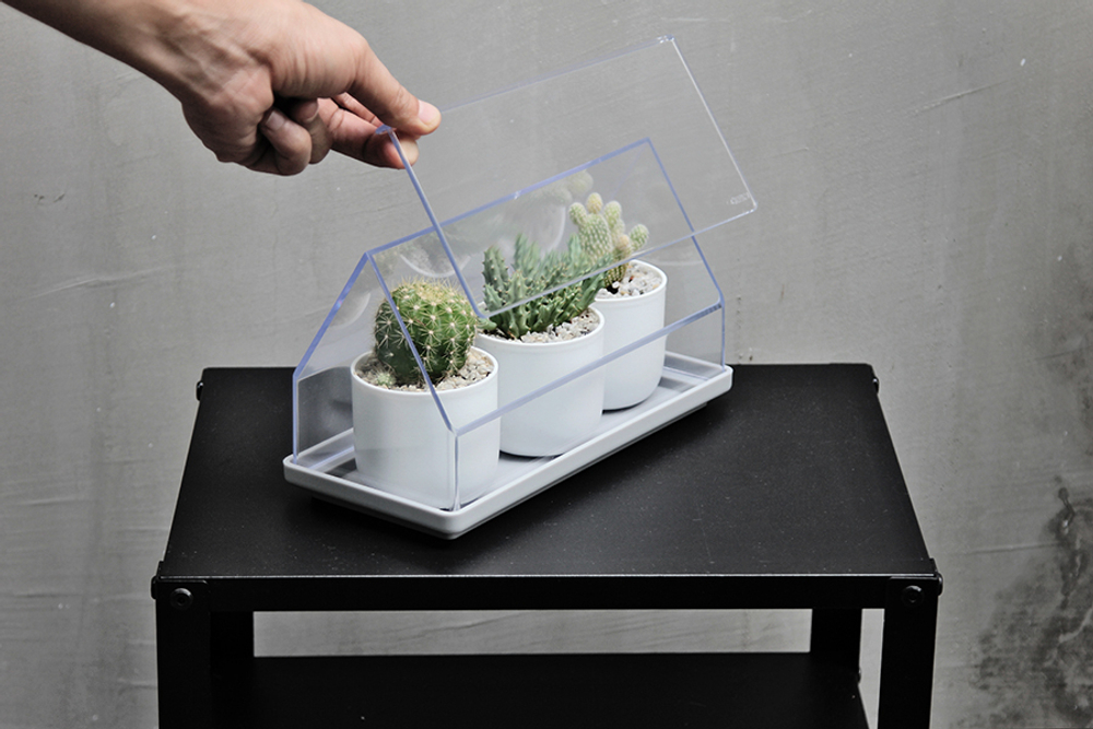 Лоток для выращивания растений micro green house, прозрачный