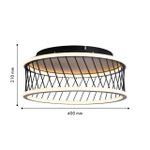 Потолочный светодиодный светильник F-Promo Korg 4436-2C