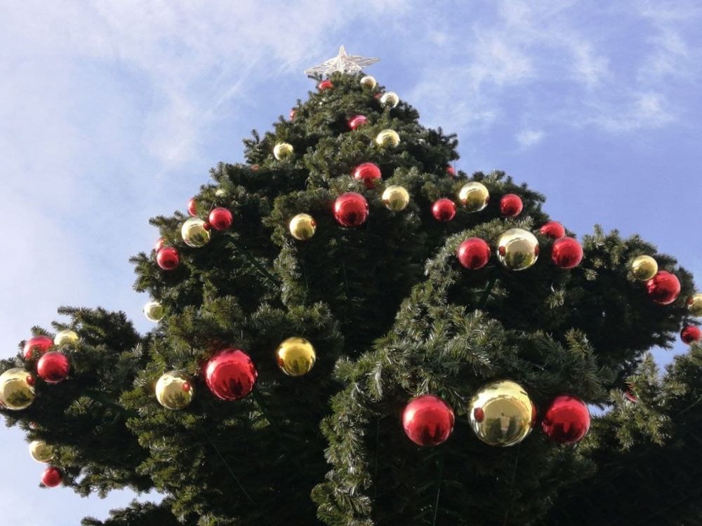 Светодинамическая елка ствольная - встроенная гирлянда: Холодный свет - "Таежная" от 11 до 21 м