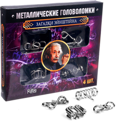 Набор головоломок 4шт «Загадки Эйнштейна», металл
