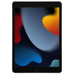 Apple iPad 2021 Wi-Fi 10.2" 256Gb Серый космос