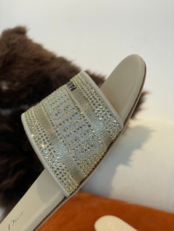 Christian Dior Dway Slide