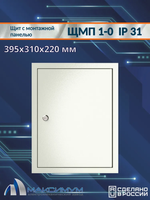 Корпус щита с монтажной панелью ЩМП-1-0 (395х310х220) IP31, металл