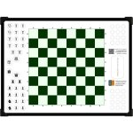 Парковые шахматы