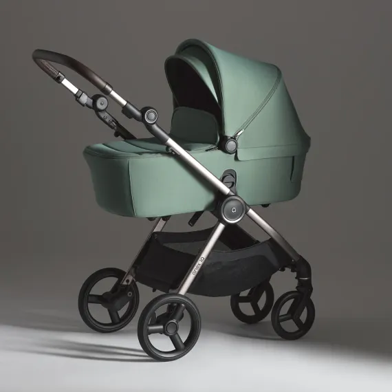 Коляска ANEX iQ Premium 2 в 1 Olly