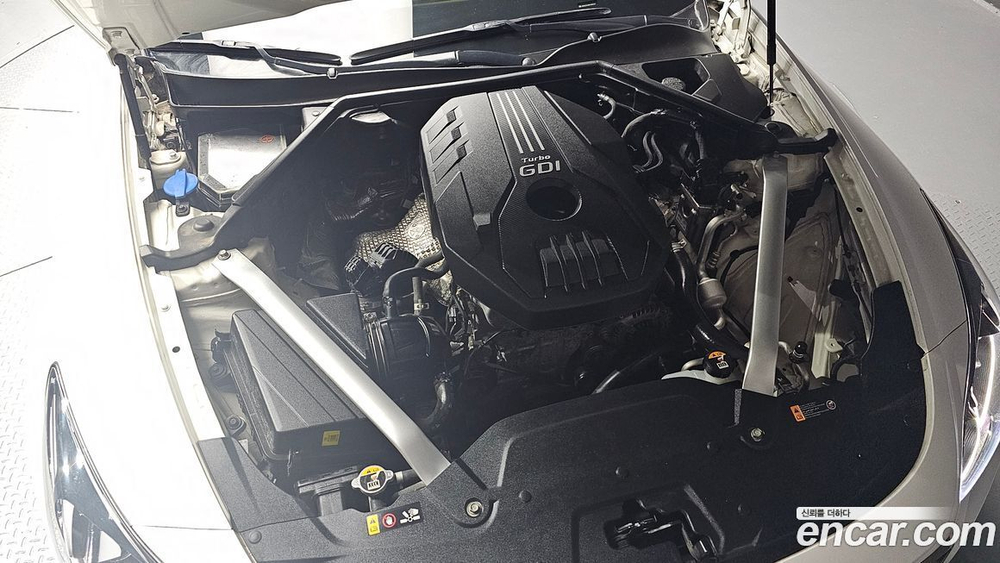 Kia Stinger 2.0 Turbo 2WD (08.2019)