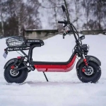 Электроскутер WHITE SIBERIA MINI R 1.5 1200W