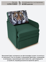 Кресло-кровать "Миник" с подлокотниками, купон Тигр