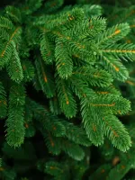 Ель искусственная «Мэдисон» (Литая хвоя ) 240 см / 2.4 м