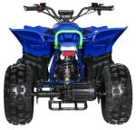 Электроквадроцикл MOTAX E-PENTORA 1500W