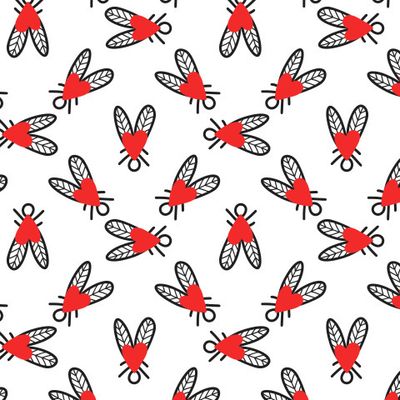 Мухи и  мушки