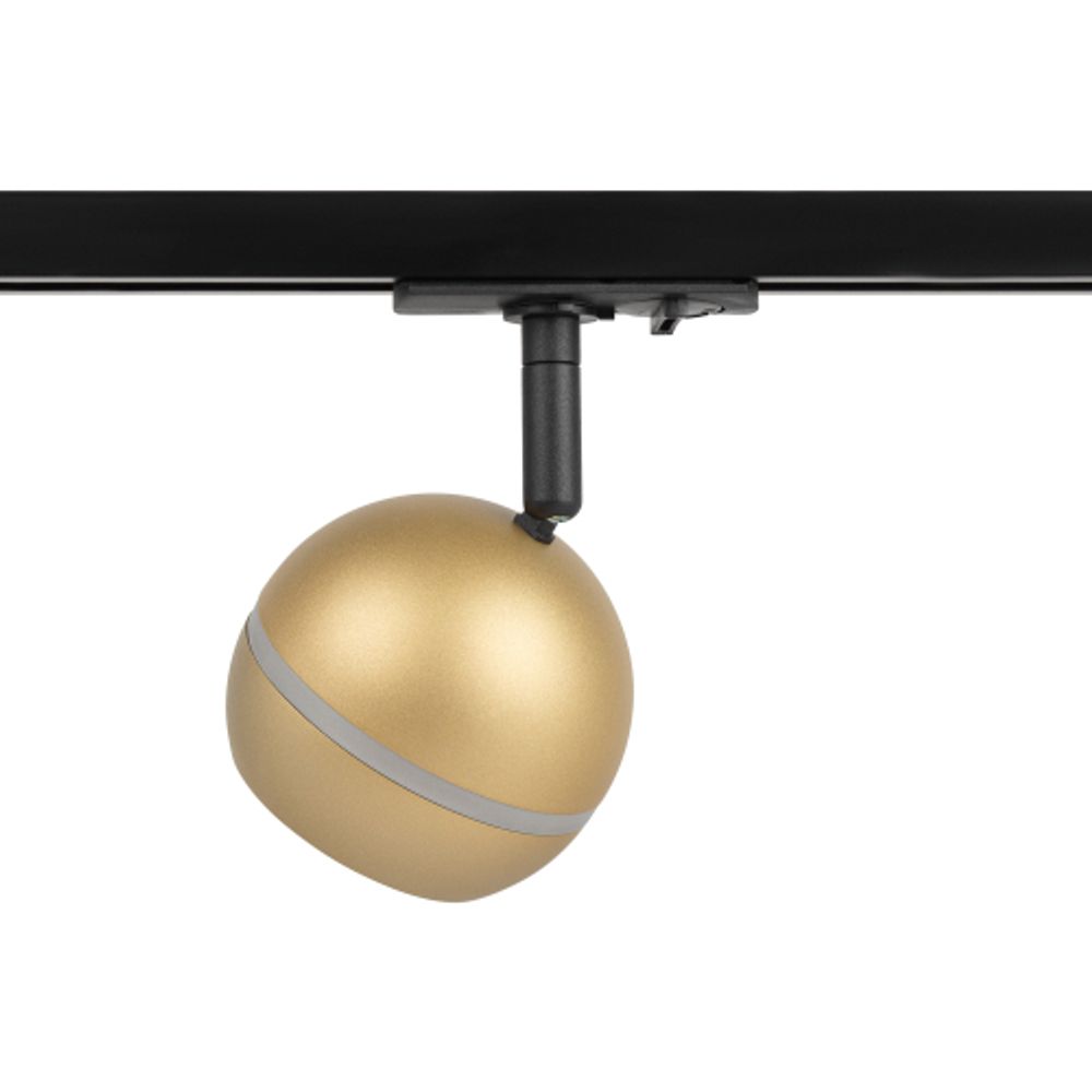 Трековый светильник однофазный ЭРА TR47-GX53 MG под лампу GX53 матовое золото