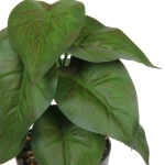 Цветок искусственный в горшке «Эпипремниум» 22см