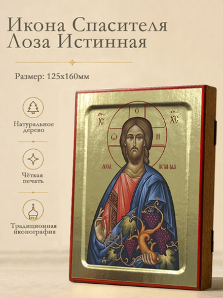 Икона Спасителя Лоза Истинная на дереве: 125 х 160 (Синопсисъ)
