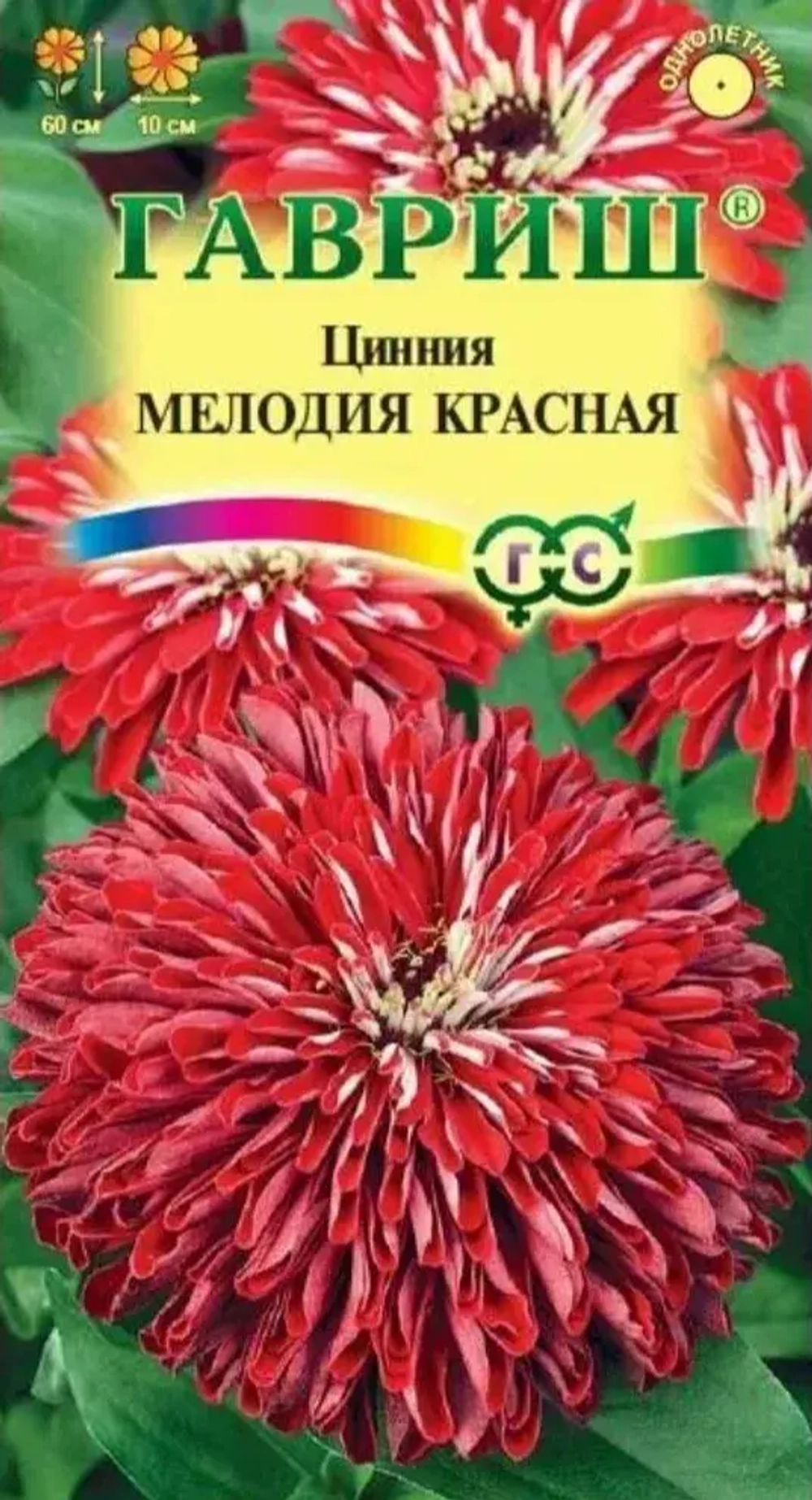 Цинния Мелодия красная