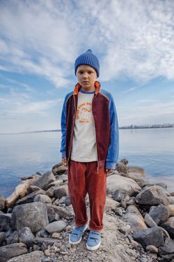 Олимпийка из велюра бордо/голубой