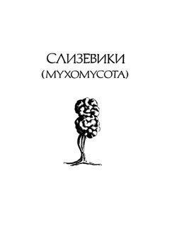 Жизнь растений. Том 2. Грибы | А.А. Федоров