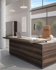 Кабинет руководителя Reef