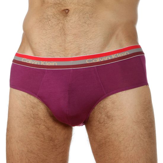 Мужские трусы брифы фиолетовые c трехцветной резинкой  Calvin Klein Modal RGB Hip Brief