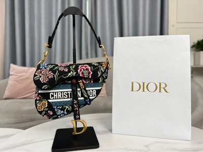 Christian Dior Saddle 25 cm