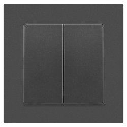 Выключатель Intro Accent 6-104-07 двойной, 10А-250В, IP20, СУ, AL/CU, графит