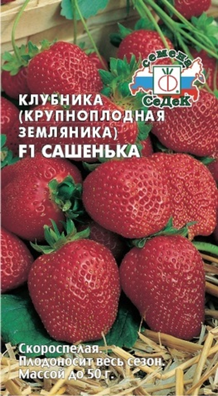 Земляника Сашенька F1