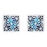 Серьги пусеты Fiore Luna AE13209-3