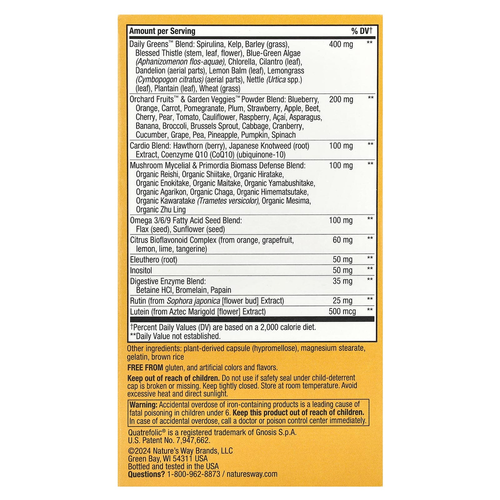 Nature's Way, Alive! ® Max 6 Potency, полный мультивитаминный комплекс для взрослых, с железом, 90 капсул