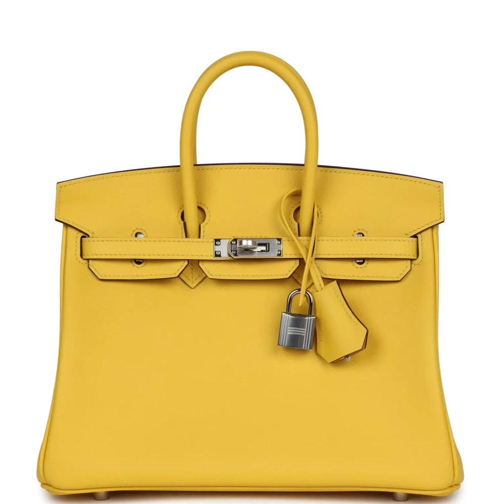 Оригинальная женская сумка из коллекции B с палладиевой фурнитурой Hermès Birkin