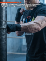 Футболка спортивная хлопковая мужская LEGENDA Двор на Двор синяя