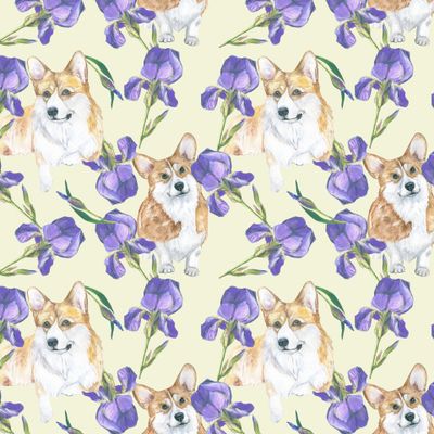 Ирисы и корги