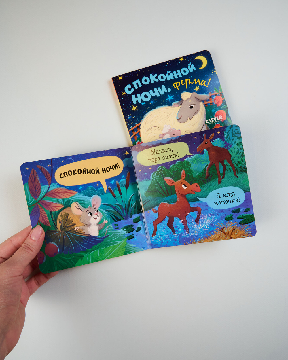 Комплект книжек-раскладушек, 2 книги