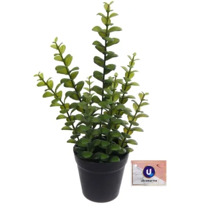 Цветок искусственный в горшке «Крассула» 35см