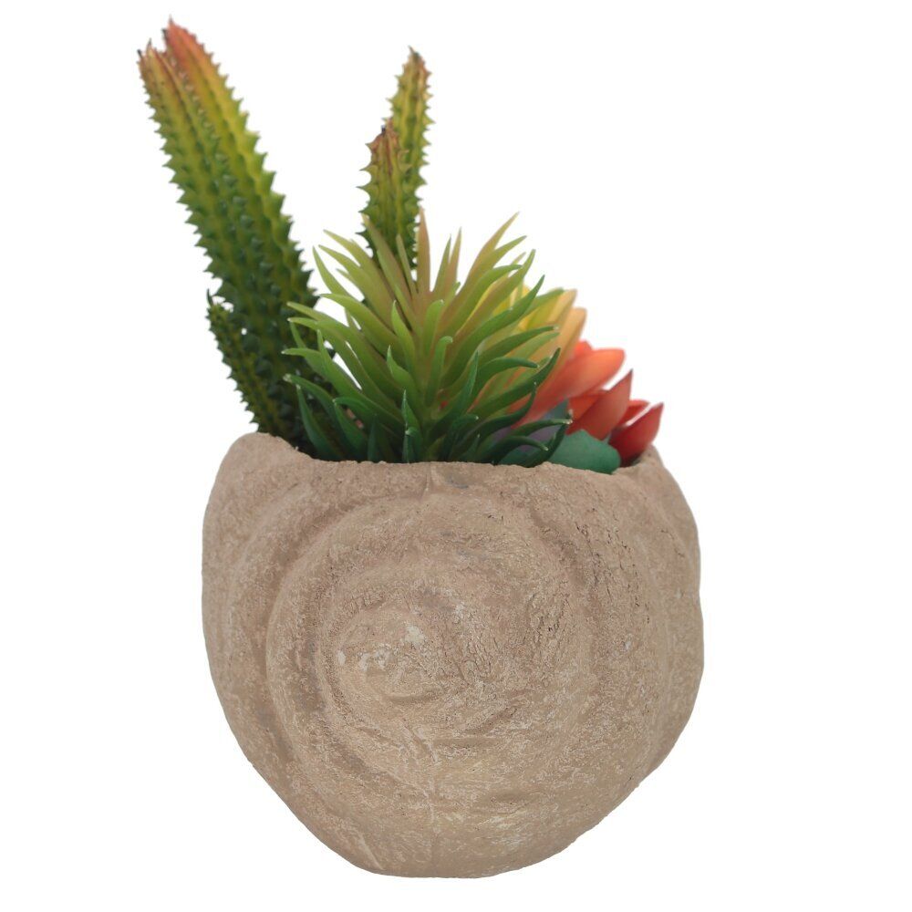 GAEM Цветочная композиция "Суккуленты", L20 W10 H16 см