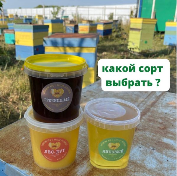 КАКОЙ МЁД ВЫБРАТЬ?